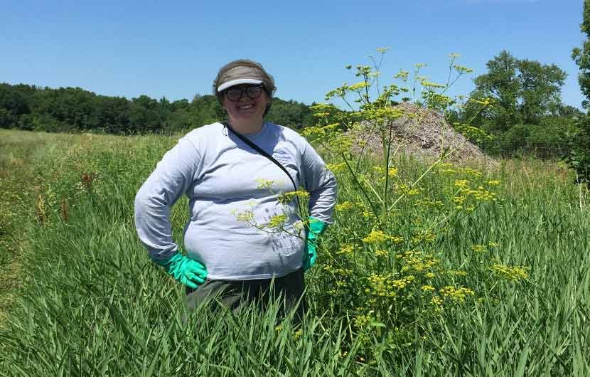 woman wearing glove, hat and long-sleeved shirt standing next to a tall, wild parsnip plant on a prairie