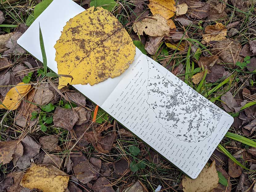 A large and yellowed Aspen leaf sits on top of a page in a nature journal. The adjacent page of the journal has text describing a hike, along with a sketch of the leaf. The notebook sits upon grass and fallen leaves.
