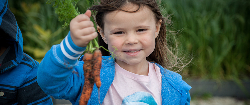 A young girl holds up two freshly picked carrots