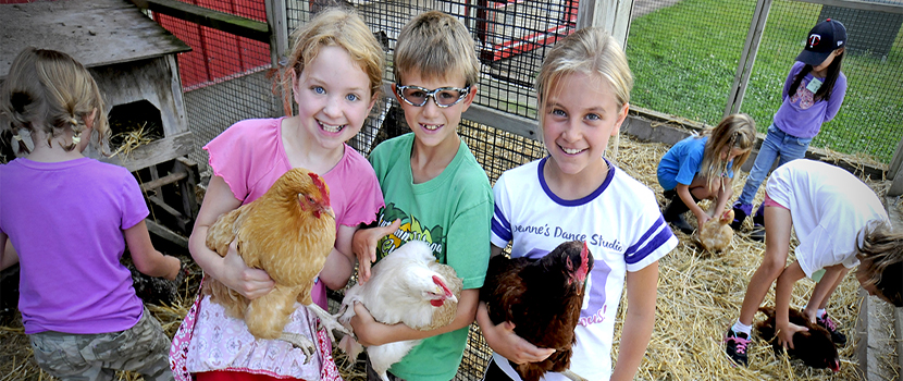 Three children smile while holding hens