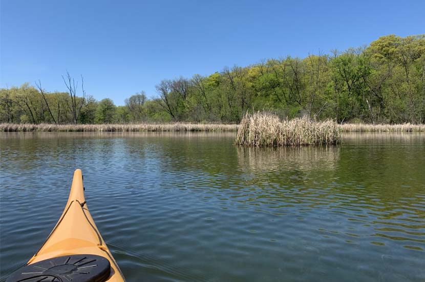 Cattails and trees line the shores of a lake. The tip of a yellow kayak can be seen in the foreground.