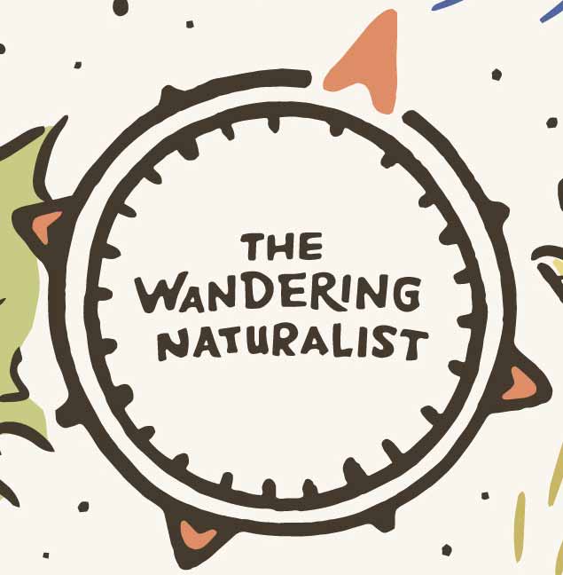An illustration of a compass, with "THE WANDERING NATURALIST" written in the center, as it appears in The Wandering Naturalist's graphic.