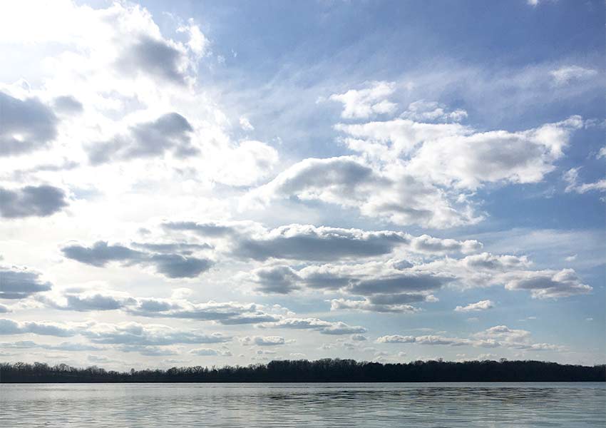 Big fluffy white clouds in a blue sky over a lake with a wooded horizon at Lake Rebecca Park Reserve.