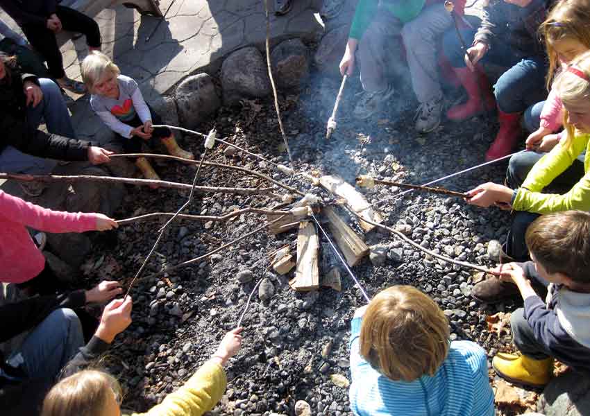 group using sticks to roast marshmallows over a fire