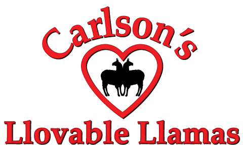 Carlson's Llovable Llamas logo with two llamas inside of a red heart