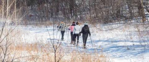 Photo of four people snowshoeing through a snowy landscape.